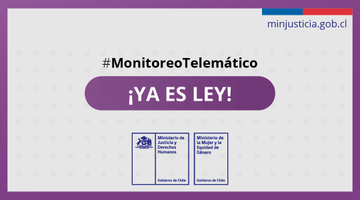 LEY DE SUPERVISIÓN A TRAVÉS DE MONITOREO TELEMÁTICO PARA AGRESORES EN CASOS DE VIF