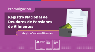 SE PROMULGA LEY QUE CREA REGISTRO NACIONAL DE DEUDORES DE PENSIONES DE ALIMENTOS