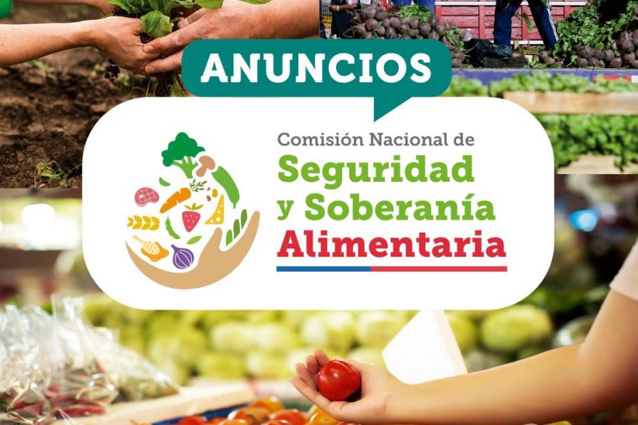 COMISIÓN NACIONAL DE SEGURIDAD Y SOBERANÍA ALIMENTARIA