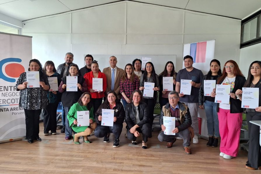 Se triplican beneficiarios de iniciativas Sercotec para potenciar negocios locales en Tierra del Fuego