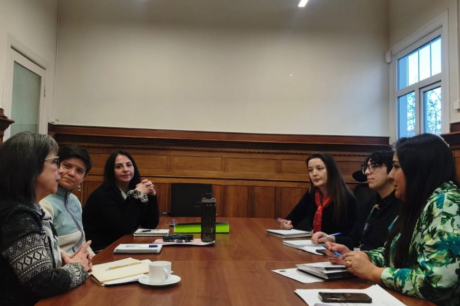 Delegada Presidencial y SernamEG avanzan en acciones para fortalecer el Centro de las Mujeres de Porvenir