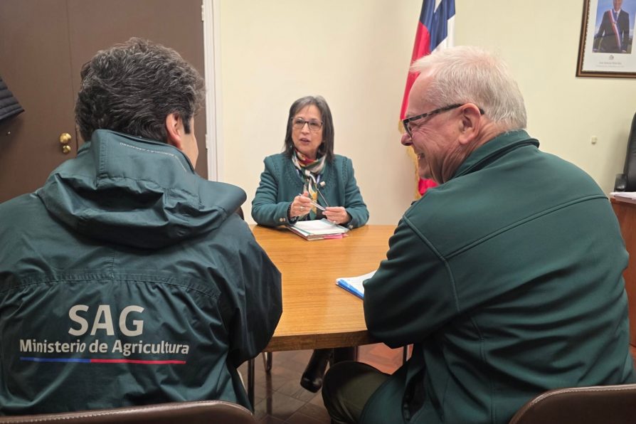 Reunión de trabajo entre la Delegación Presidencial y el SAG aborda desafíos para la provincia