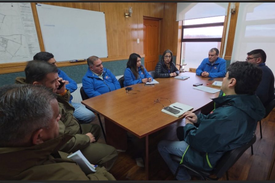 Delegada Presidencial participa en mesa de trabajo para abordar problemática de perros asilvestrados y envenenamiento de caninos
