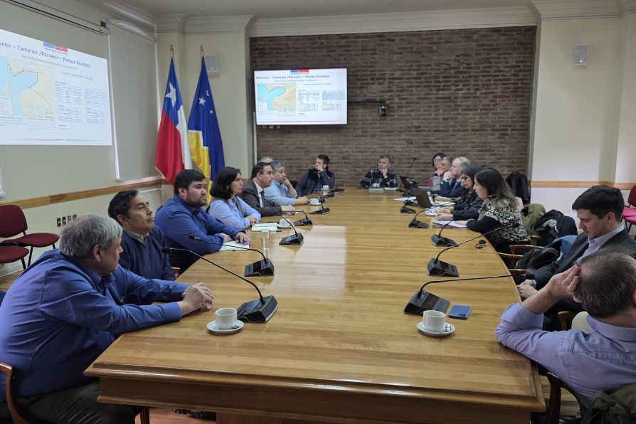 Delegada participa en comisión sobre conectividad de Tierra del Fuego