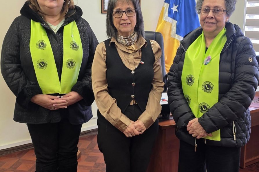 Delegada Presidencial se reúne con representantes de las Jornadas por la Rehabilitación en Magallanes 2026