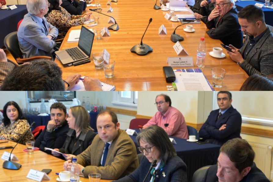 Delegada Presidencial participa en sesión de la Comisión Regional de Uso del Borde Costero de Magallanes